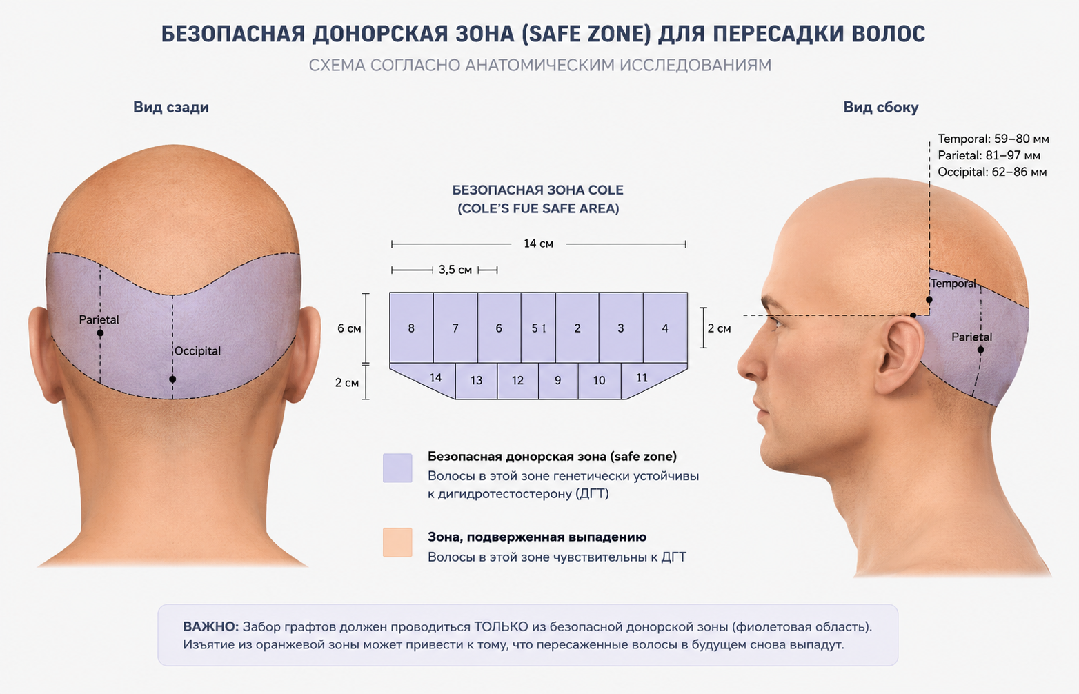 Безопасная донорская зона